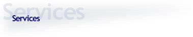 TSP Services
